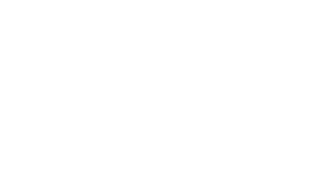 siltas-wings-white